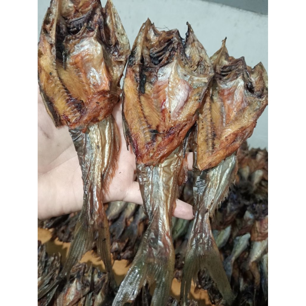 IKAN ASAP PATIN / SALAI PATIN KHAS RIAU