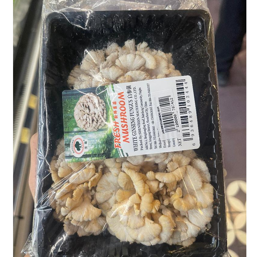 

Jamur Gingseng Putih - Fresh Mashroom White Gingseng 1 Pack 100 Grm