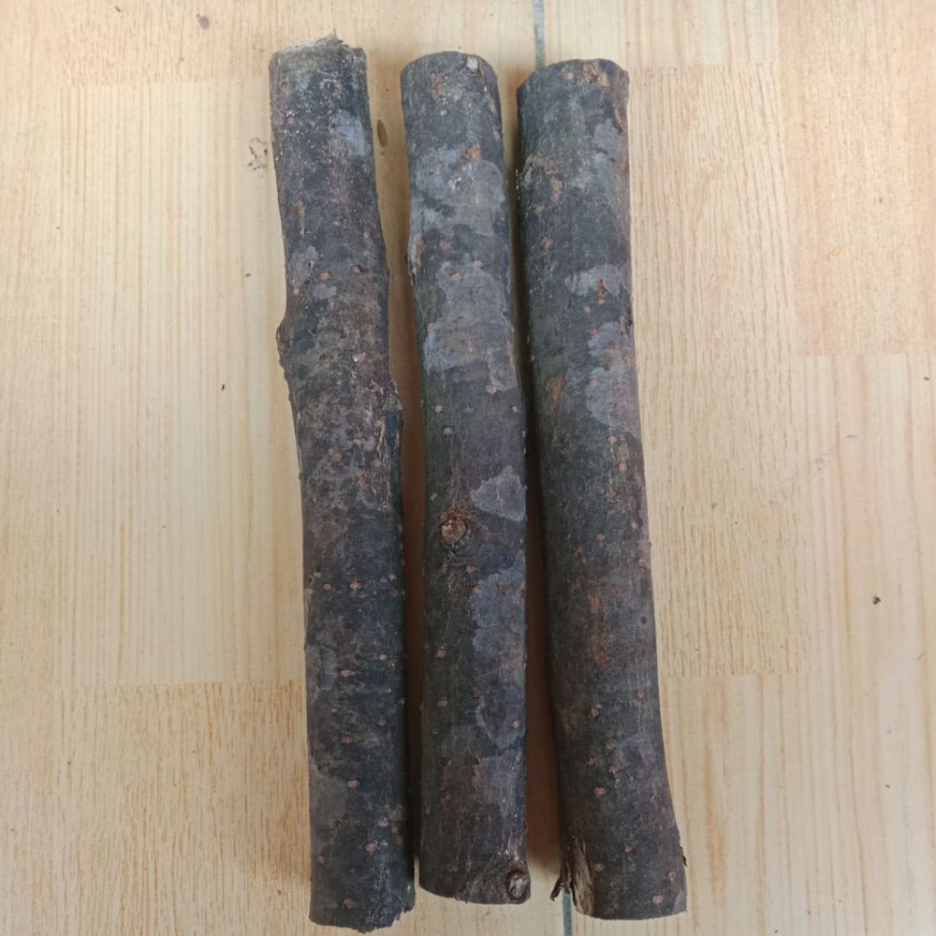 stik Kayu Lemo Pengusir Ular Panjang 25 Cm Orginal