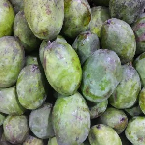 mangga kweni 1kg