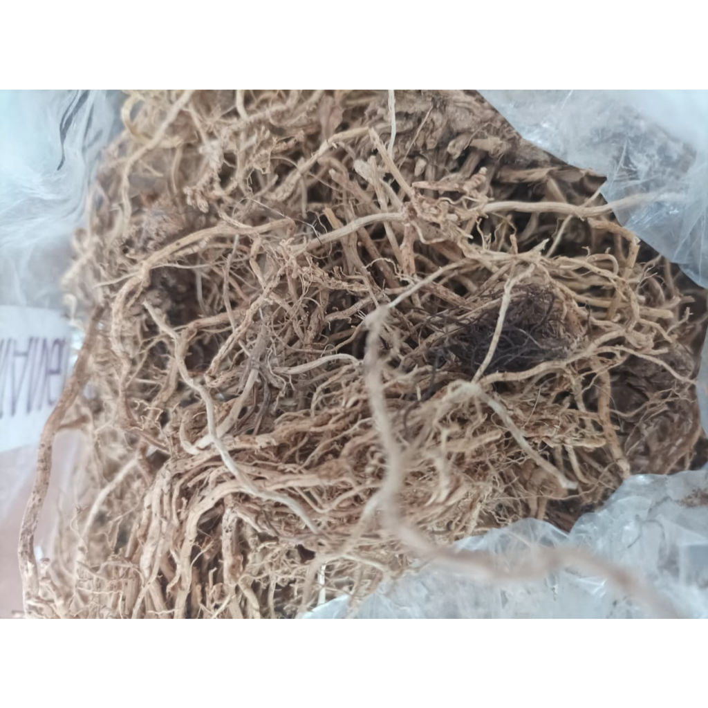 

Simplisia Kering Akar Wangi-Aroma Segar dan Relaksasi