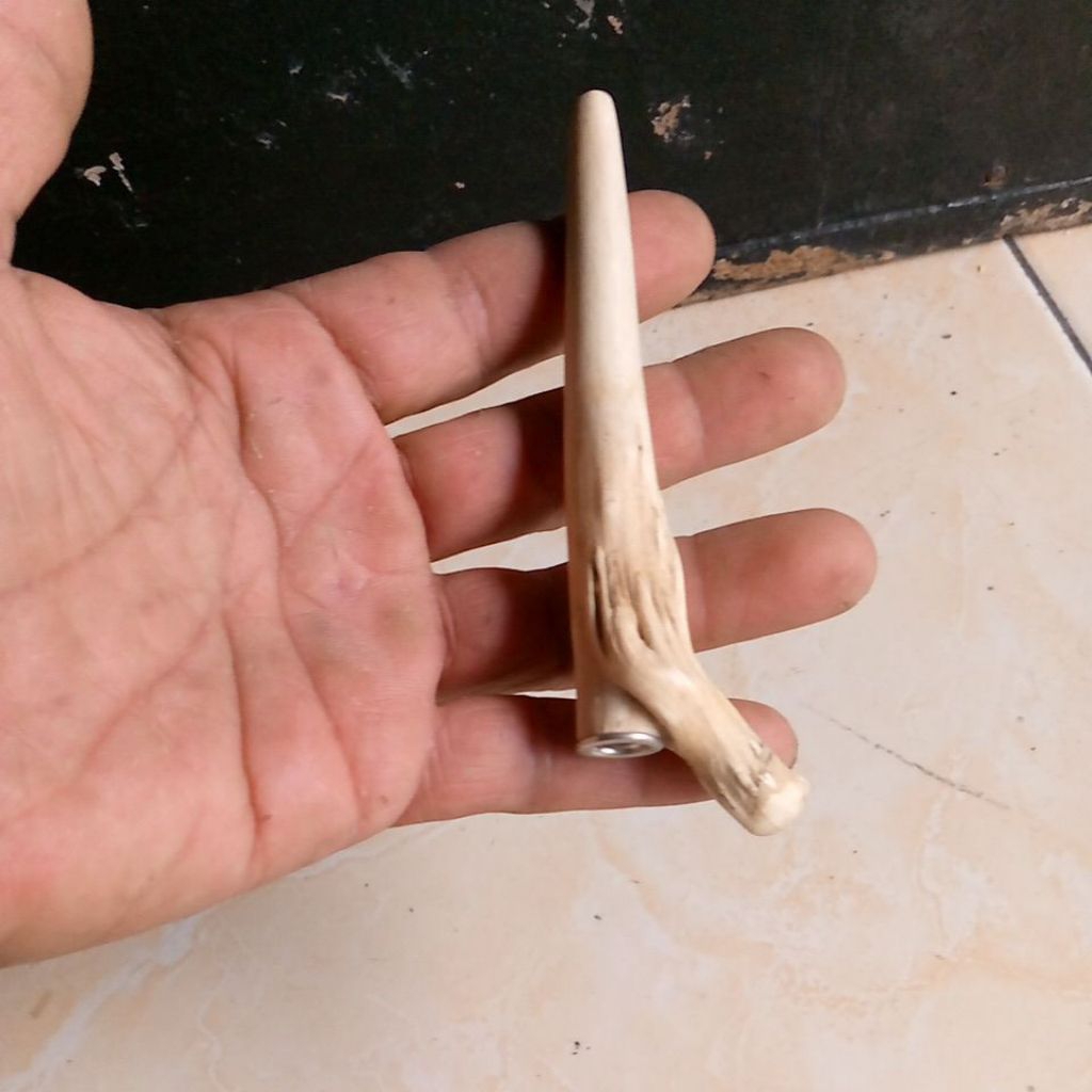 Once kayu tlaga sari tlogosari