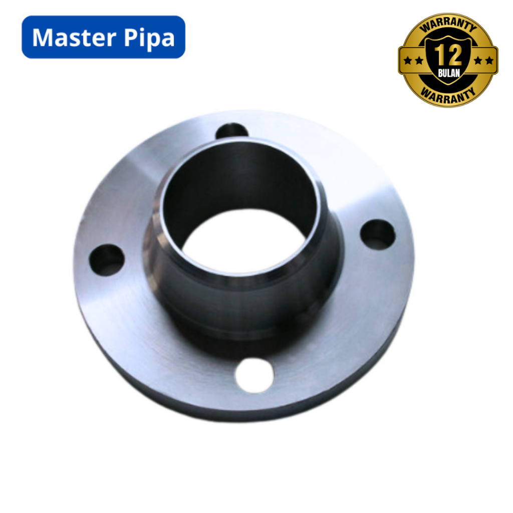 WN FLANGE Stainless Steel 6 INCH SCH 10S #150 RF F316/316l Dual Certified