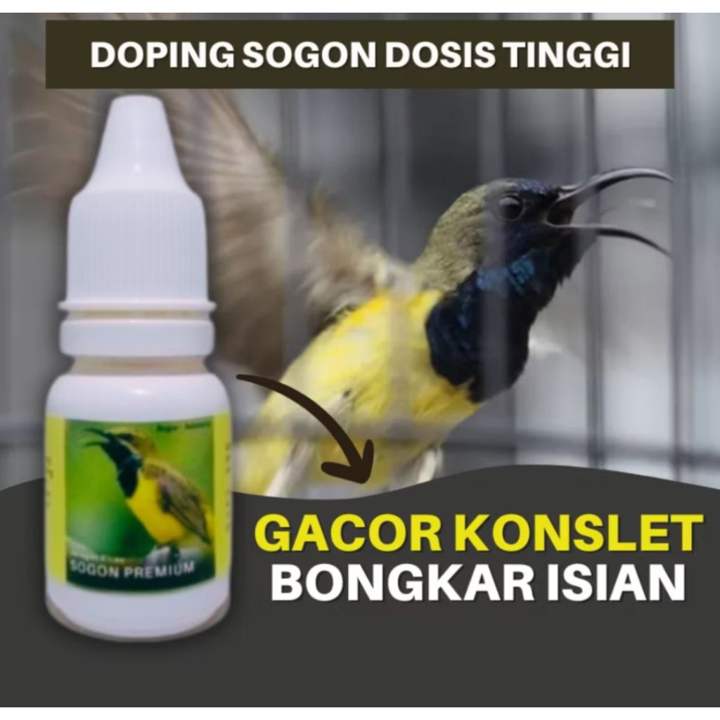 Sogon Premium Doping Burung Sogon Dosis Tinggi Biar Gacor Konslet Untuk Lomba Dan Harian