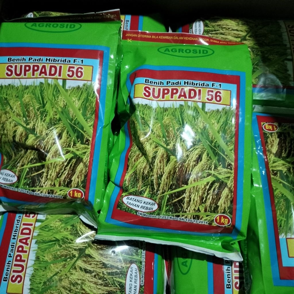 SUPPADI 56 ORIGINAL#ASLI#BENIH PADI HIBRIDA#BENIH UNGGUL