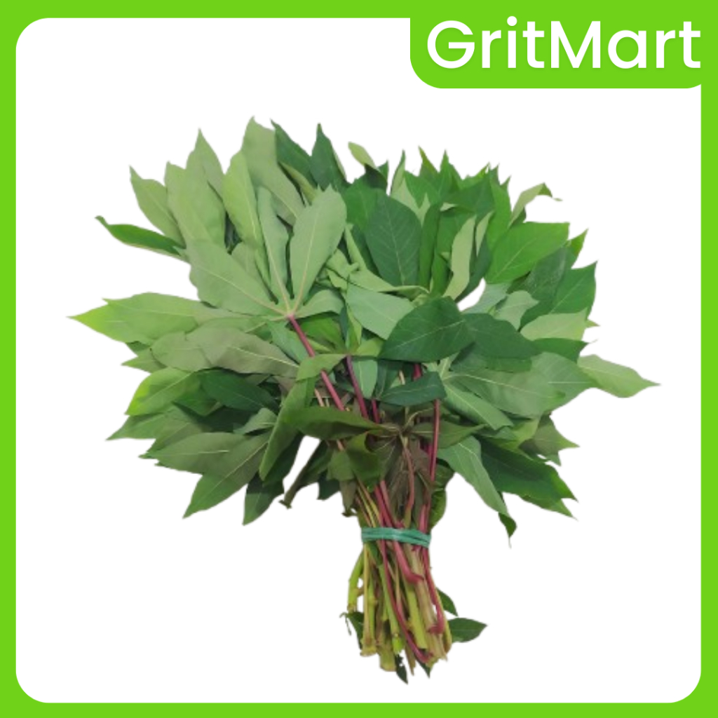 

Daun Singkong Muda I Siap Masak, Kaya Gizi I Wajib Ada di Dapur Anda