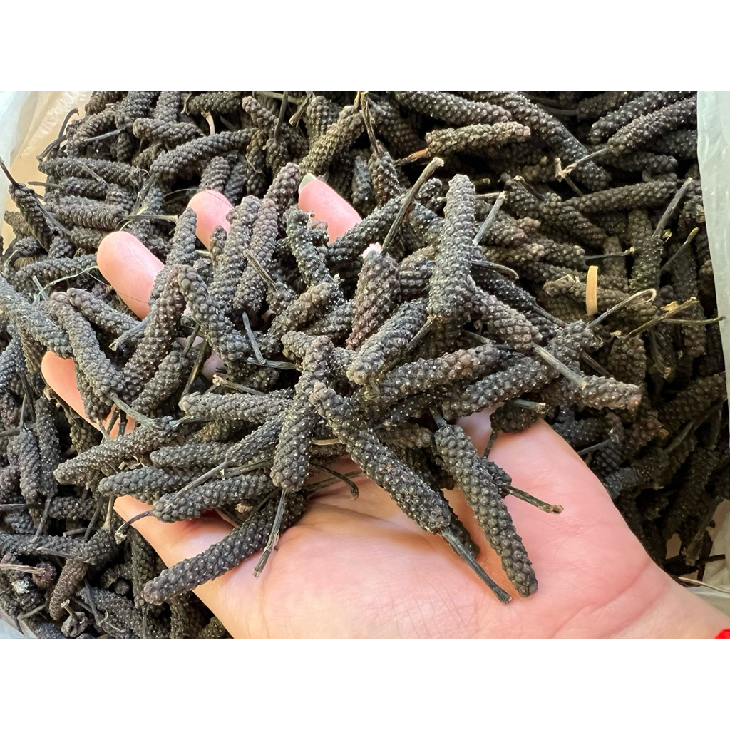 cabe jamu kering / jamu jamu Jawa 100 gr - cabe Jawa cabe puyang