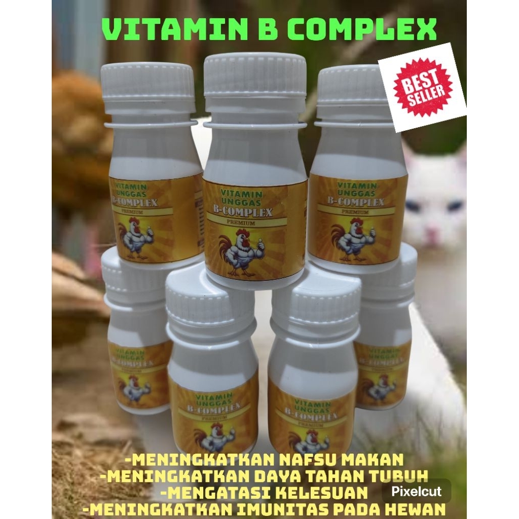 vitamin b complex ayam/kucing/anjing dll 100 btr