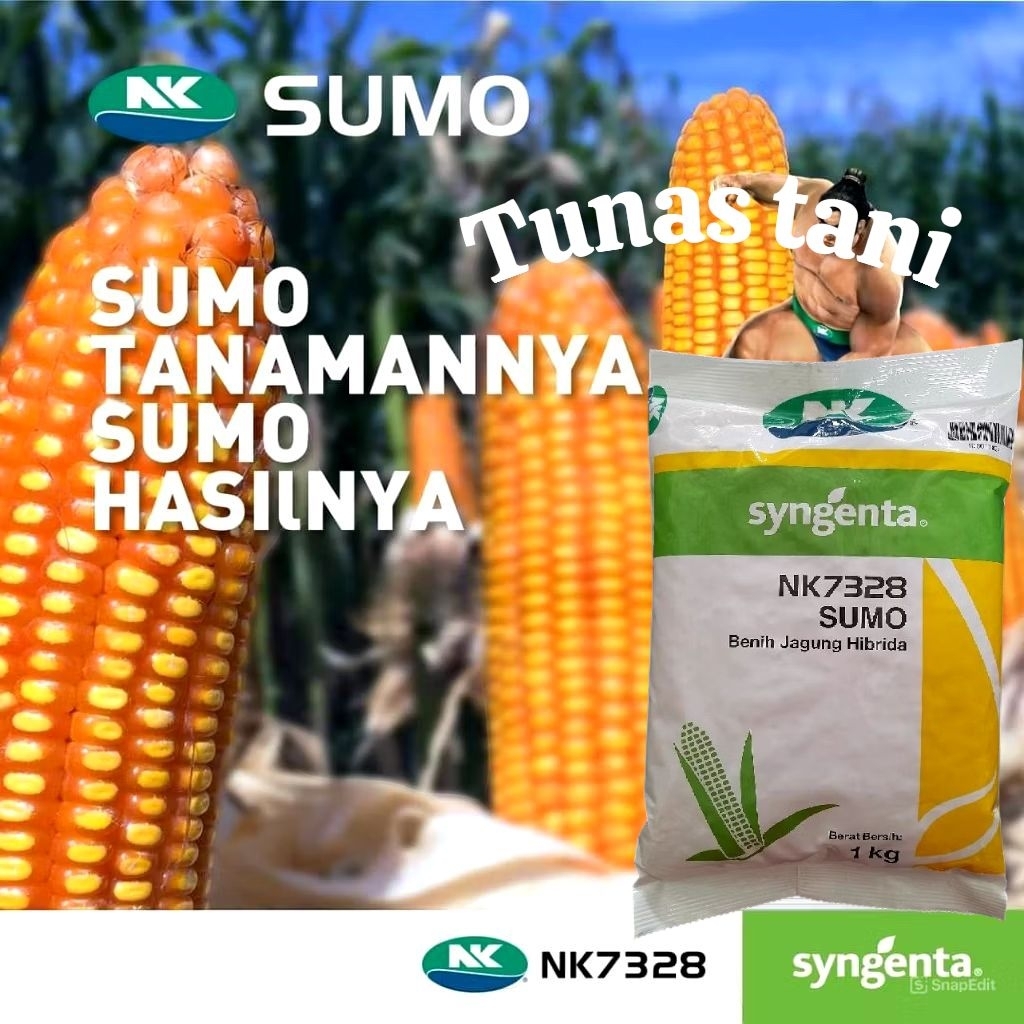 Benih Jagung NK 7328 | NK SUMO - 1kg