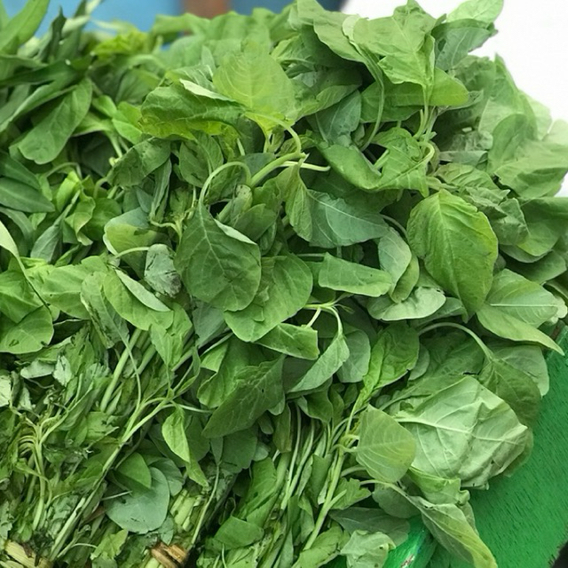 

KIRIM INSTAN BAYAM FRESH / BAYAM SEGAR EXPRESS / BAYAM SEGAR MURAH / OLAHAN BAYAM / TUKANG SAYUR ONLINE