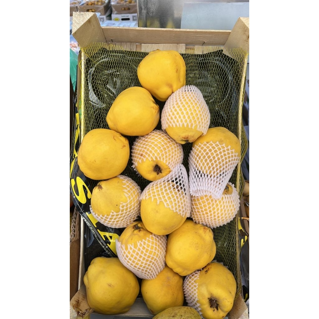 

Buah Safarjal / Quince perbiji