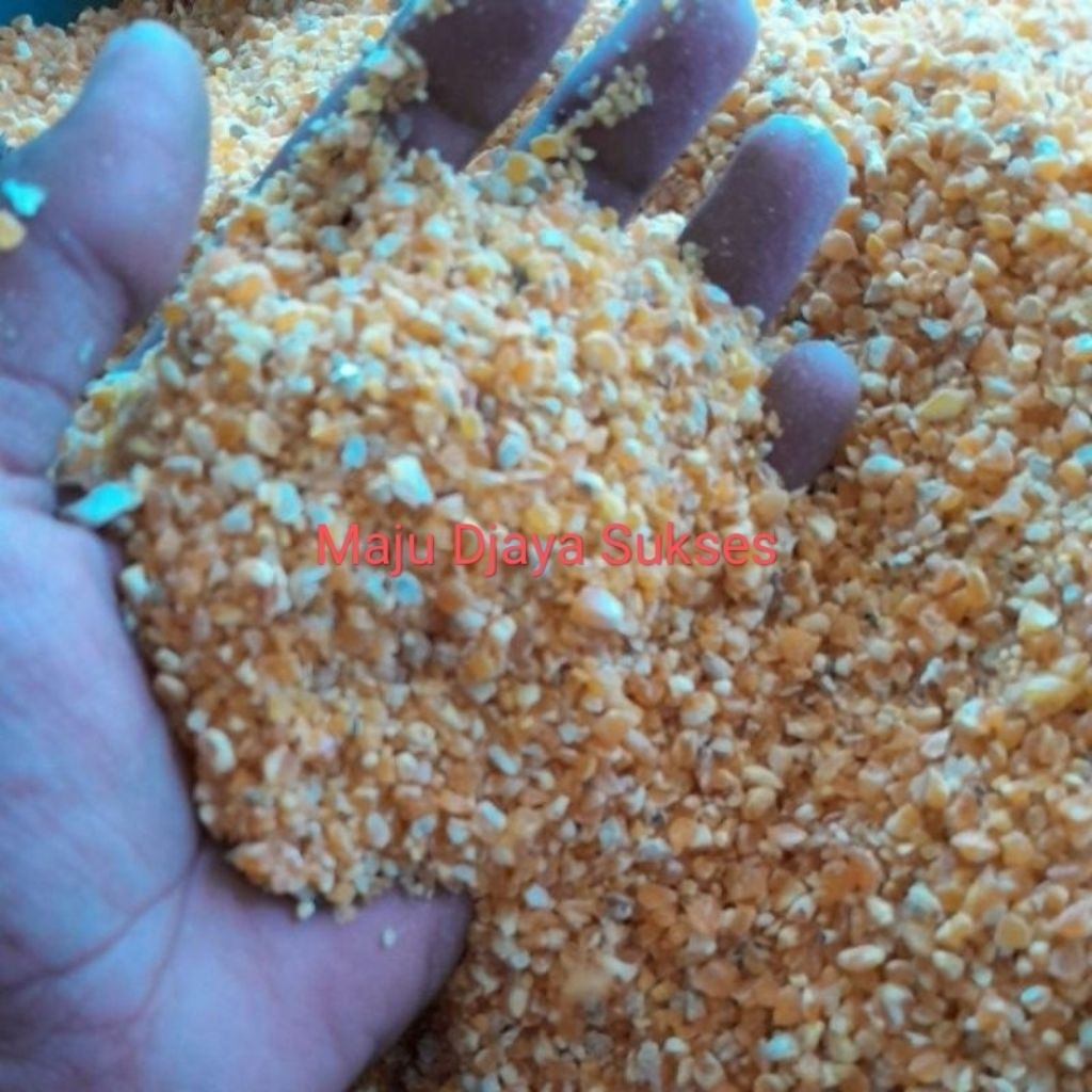 

Beras Jagung Menir Jagung