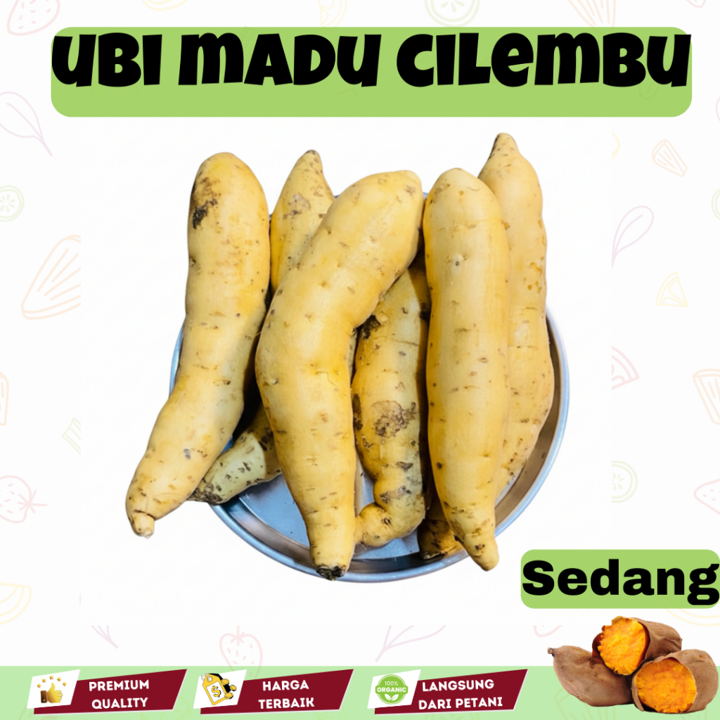 

Ubi Madu Cilembu Premium Telo madu pengganti makanan 1Kg Manis Legit Segar Mentah Siap Bakar Oven Garansi Fresh Langsung dari petani lokal Wonogiri