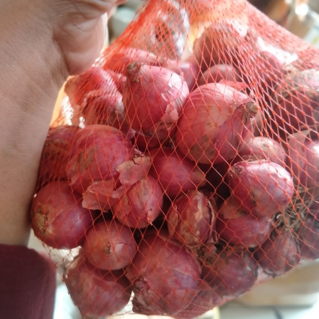 

Bawang Merah Super 1kg REAL PICT