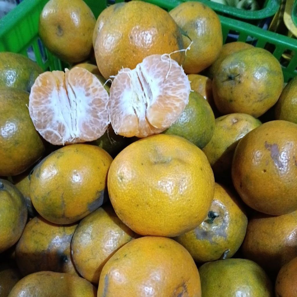 

Jeruk Siem madu manis sekilo isi 5-6 buah