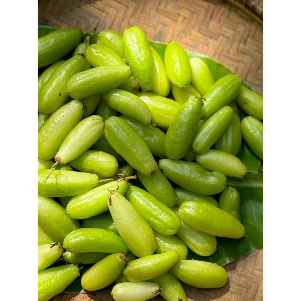 

belimbing wuluh segar 1kg herbal untuk darah tinggi dan diabetes