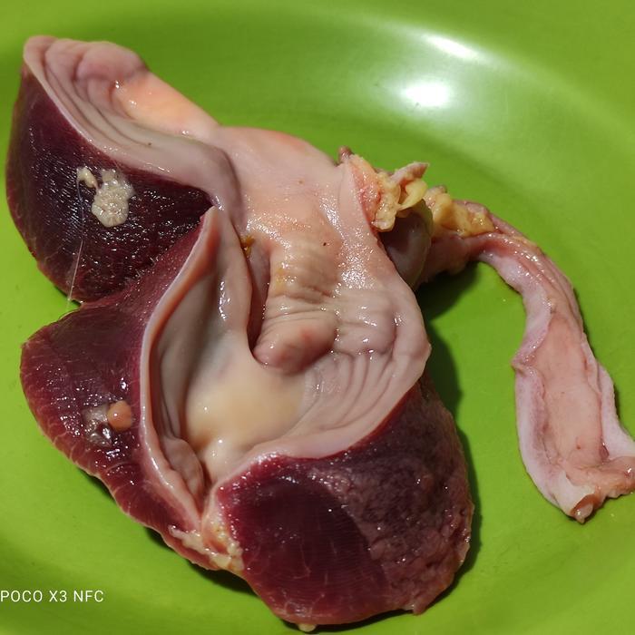 

Ampela Turkey / Ampela Kalkun 500 gram