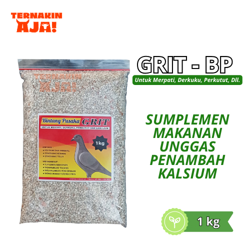 GRIT Merpati Pakan Pendamping / Asinan Kerang Mineral Kulit Cangkang Telur - Ternakin Aja