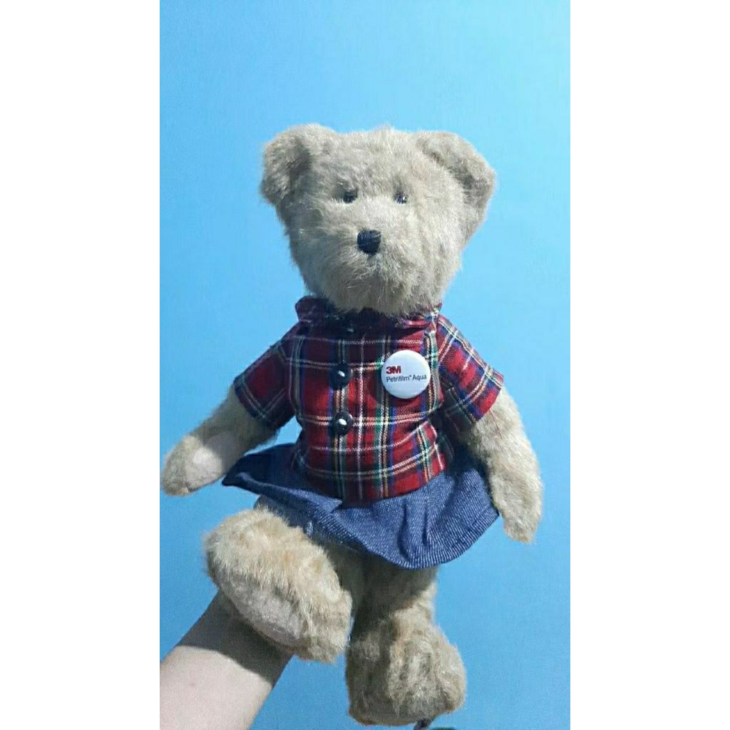 Teddy Klasik/Teddyboyds/Bearingtone