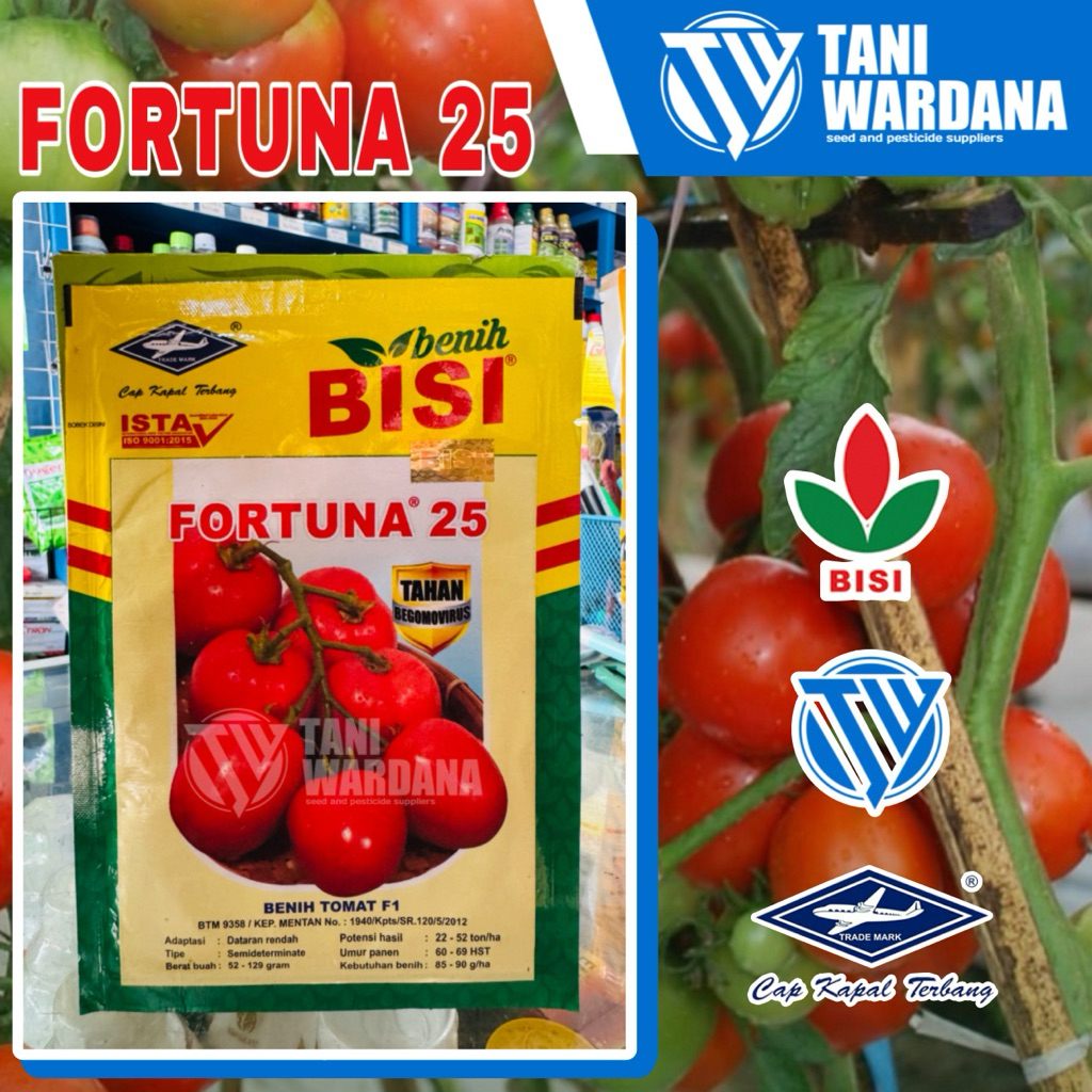 Fortuna 25 - benih tomat hibrida