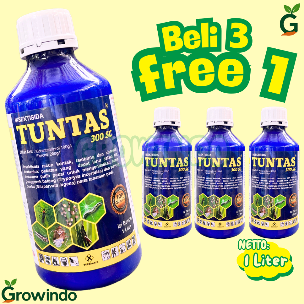 Insektisida TUNTAS 300SC Mengendalikan Hama Serangga Bandel Tanaman Padi 1 Bulan