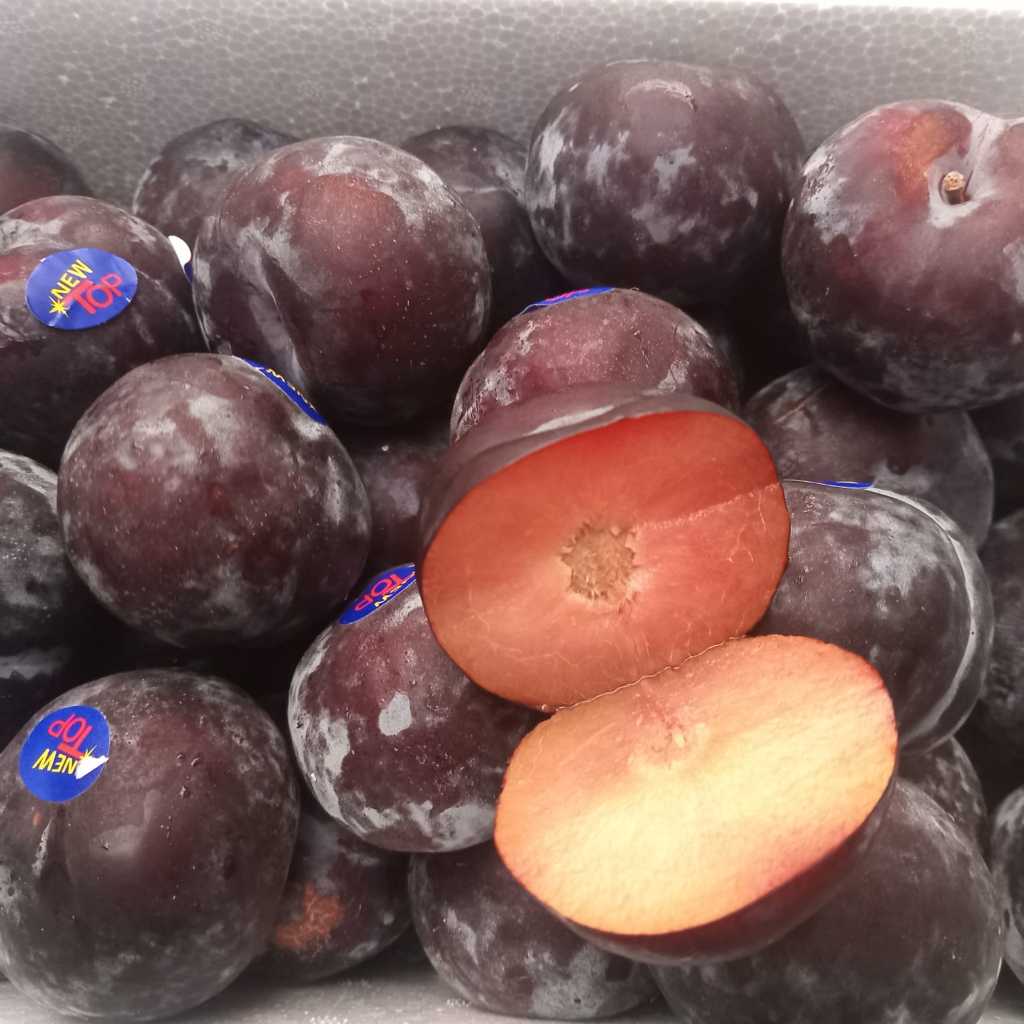 

Buah Plum Import Segar | Buah Sehat Antioksidan