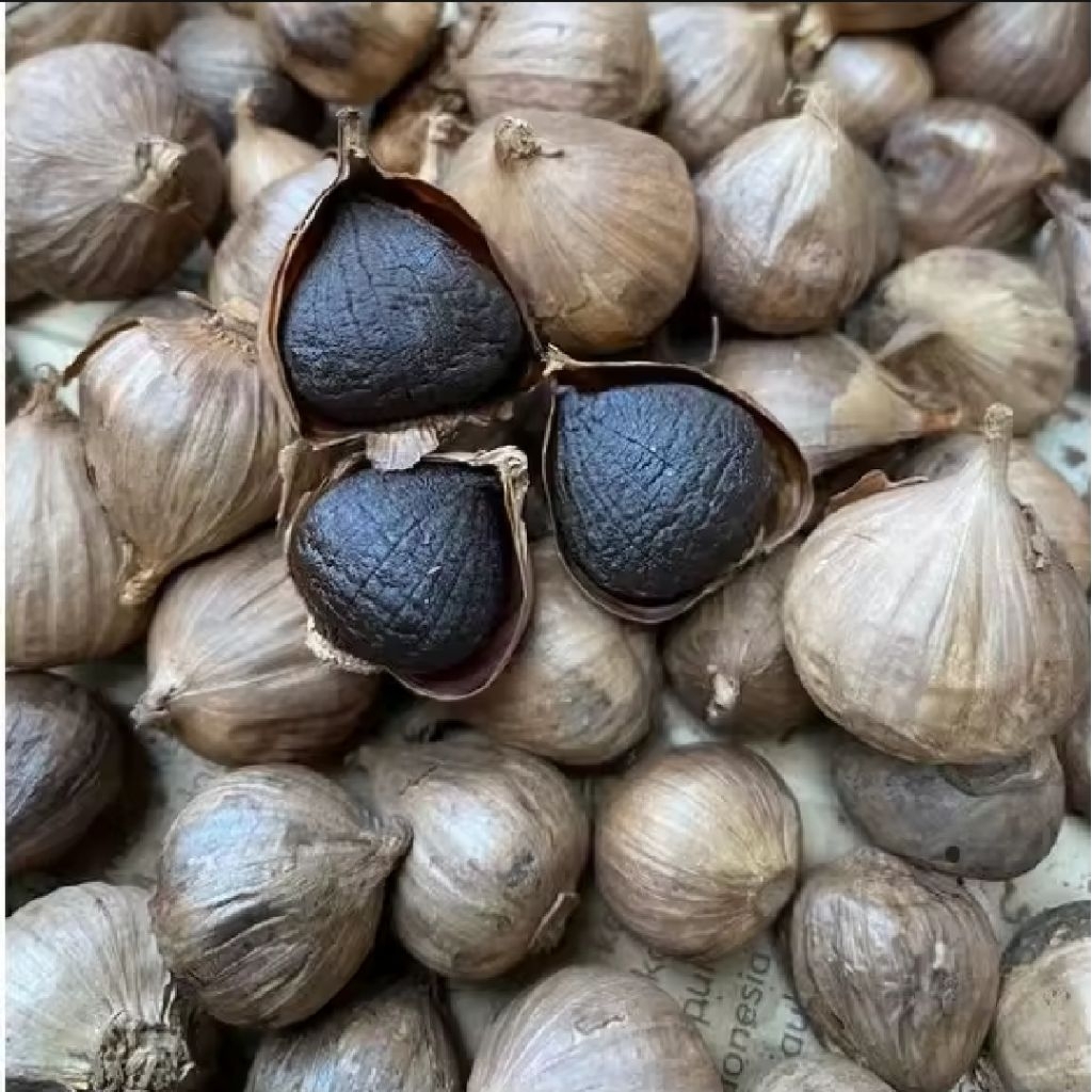 

Bawang Hitam Tunggal