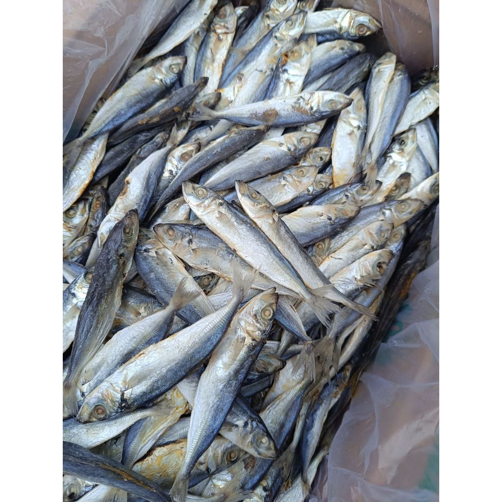 

ikan asin japuh atau layang 1000gram / 1 kg