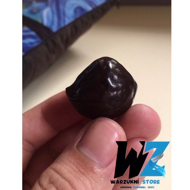 Muncang/kemiri adu JALIM X MAYIT ori