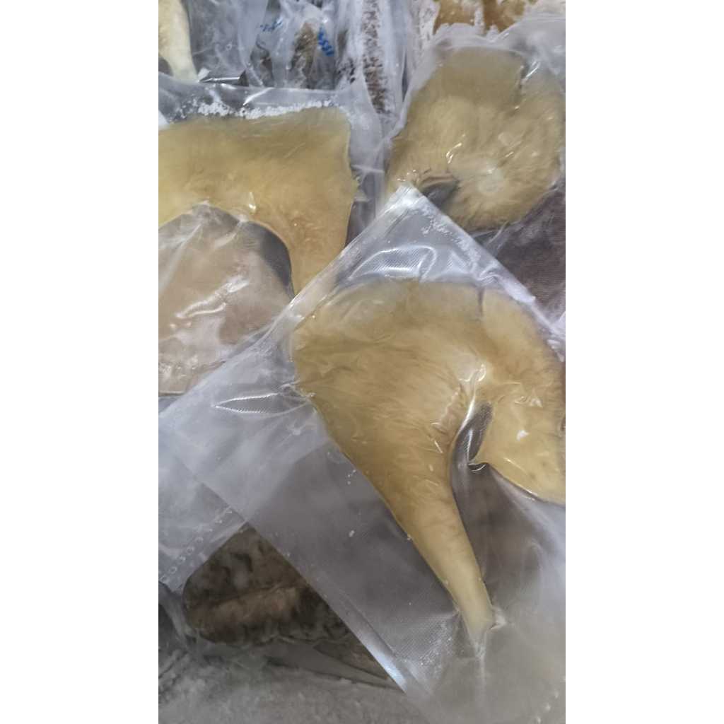 HISIT (SIRIP HIU) PREMIUM GRADE A