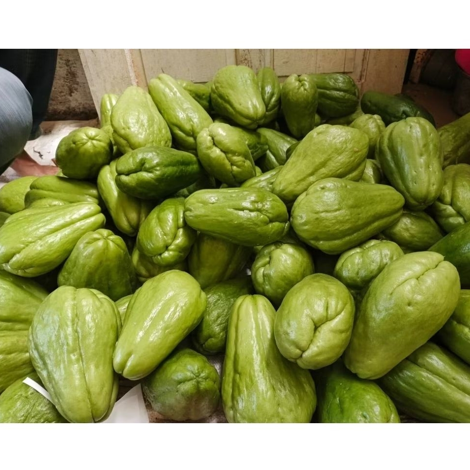 

Labu Siam Sayur Fresh Lokal 1 KG / Labu Siam Untuk Sayuran