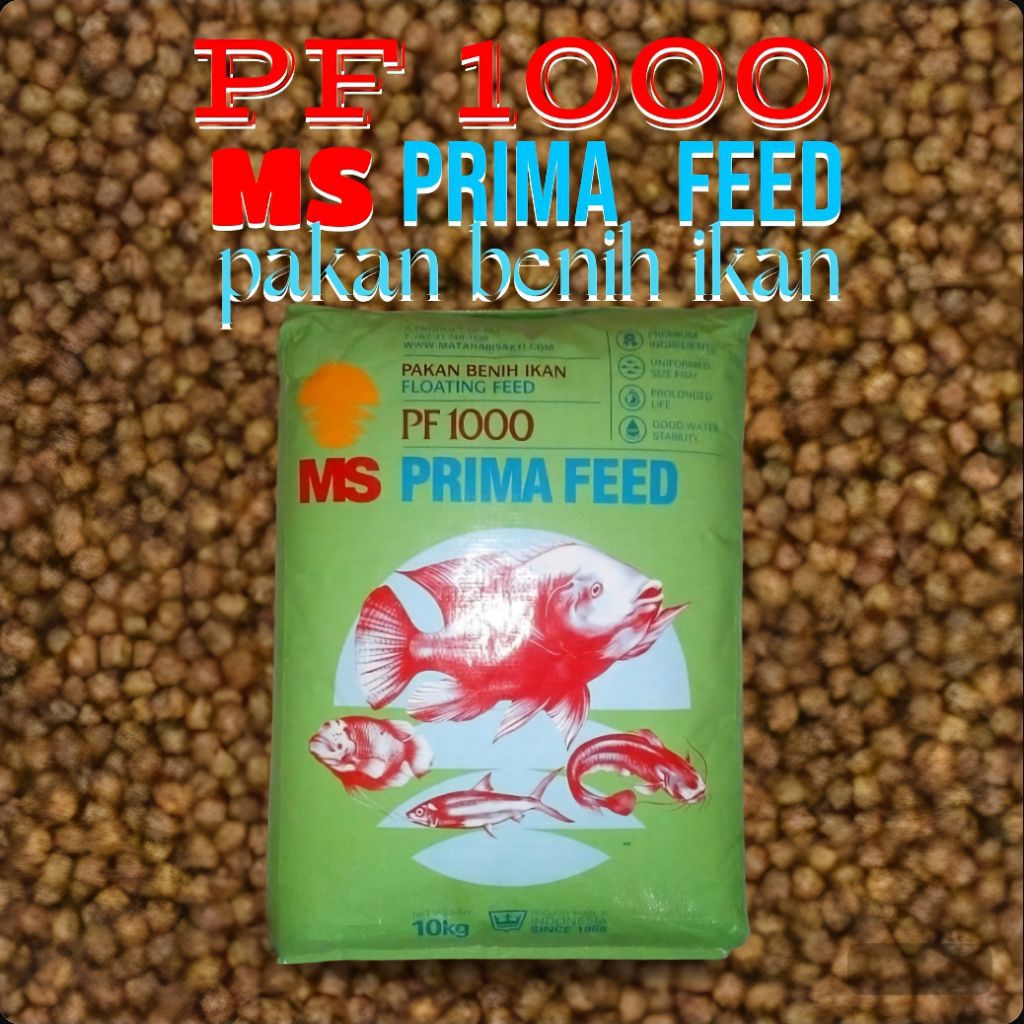 Pakan Ikan PF 1000 MS Prima Feed  Pakan Benih Ikan Apung Berkualitas Tinggi Cepat Besar
