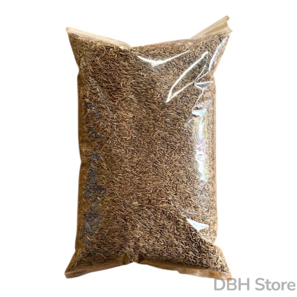 Jinten Caraway / Caraway Seed / Jinten Masak / Jinten Caraway Murah / Jinten Caraway (Masak) Finland