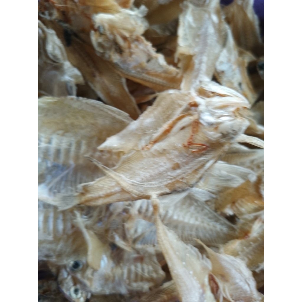 

Ikan tipis (ikan bulu Ayam)