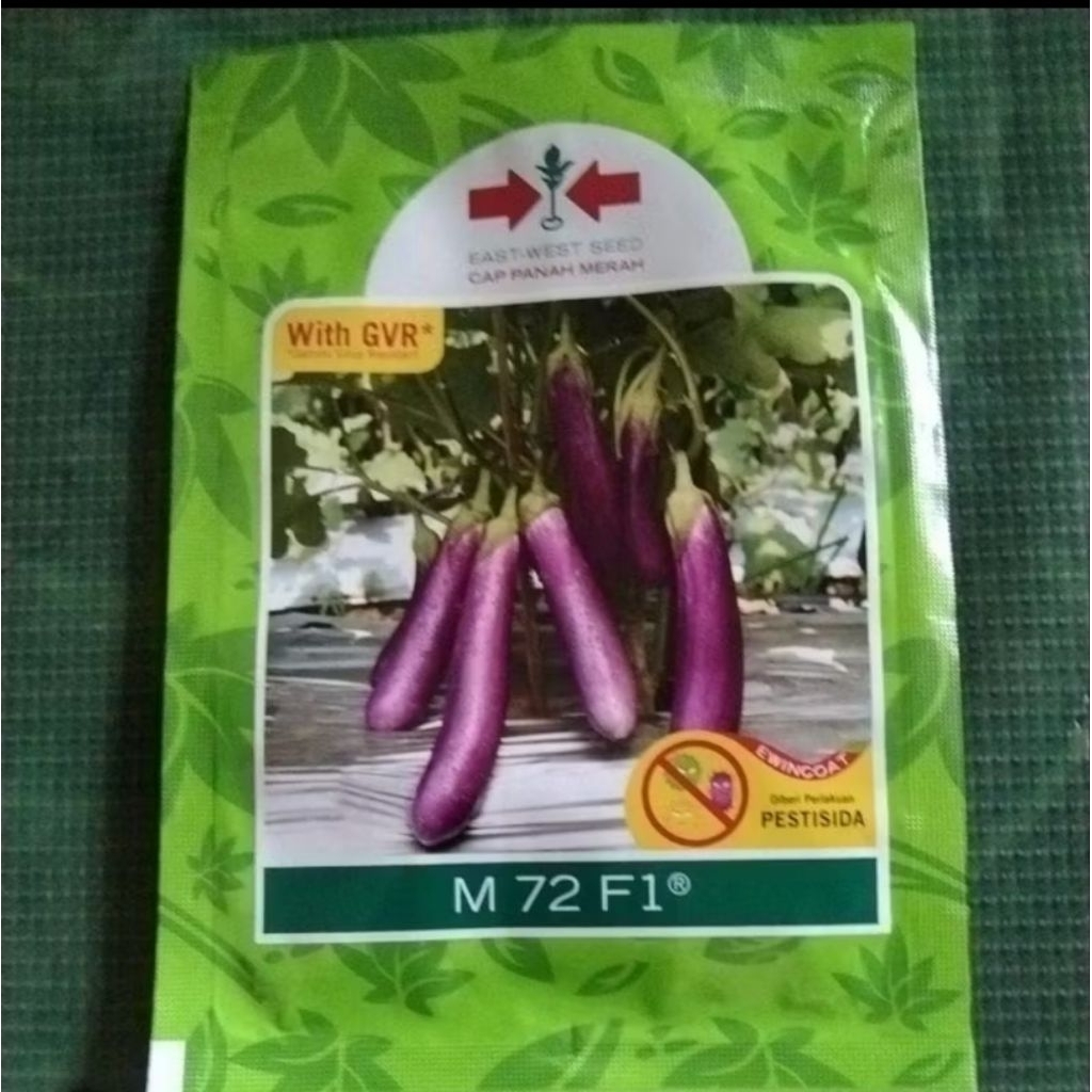 bibit terong ungu m72 f1 cap panah merah