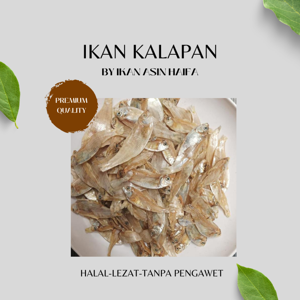 

Ikan Asin Kalapan 1 kg Kering Tanpa Pengawet Gurih