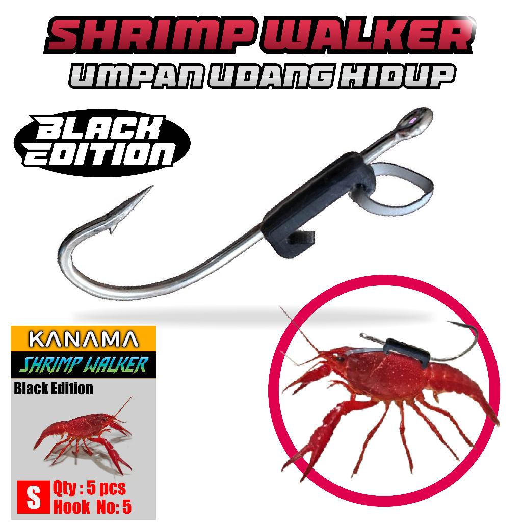 SHRIMP WALKER Black Mata Kail Asli Umpan Udang Hidup Vaname Kanama Pantai Muara Danau Sungai Laut