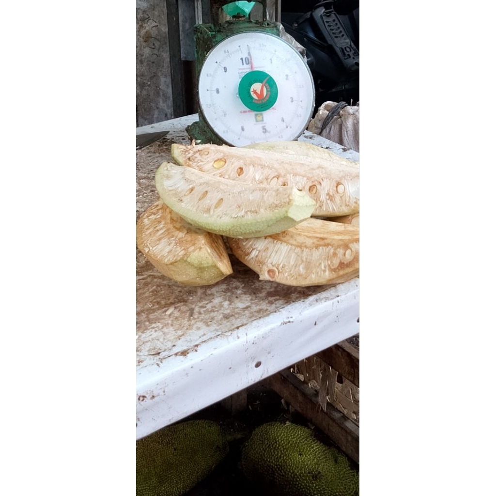 sayur gori( nangka muda)