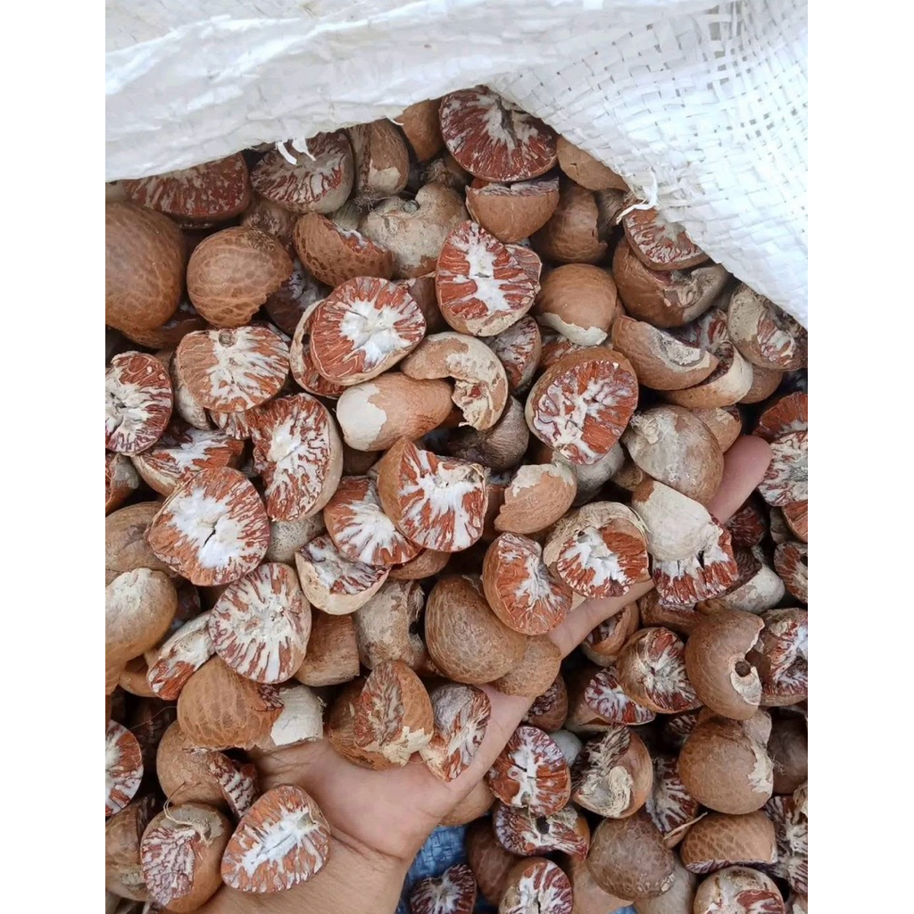 pinang kering belah 1kg buah pinang kering premium 1kg