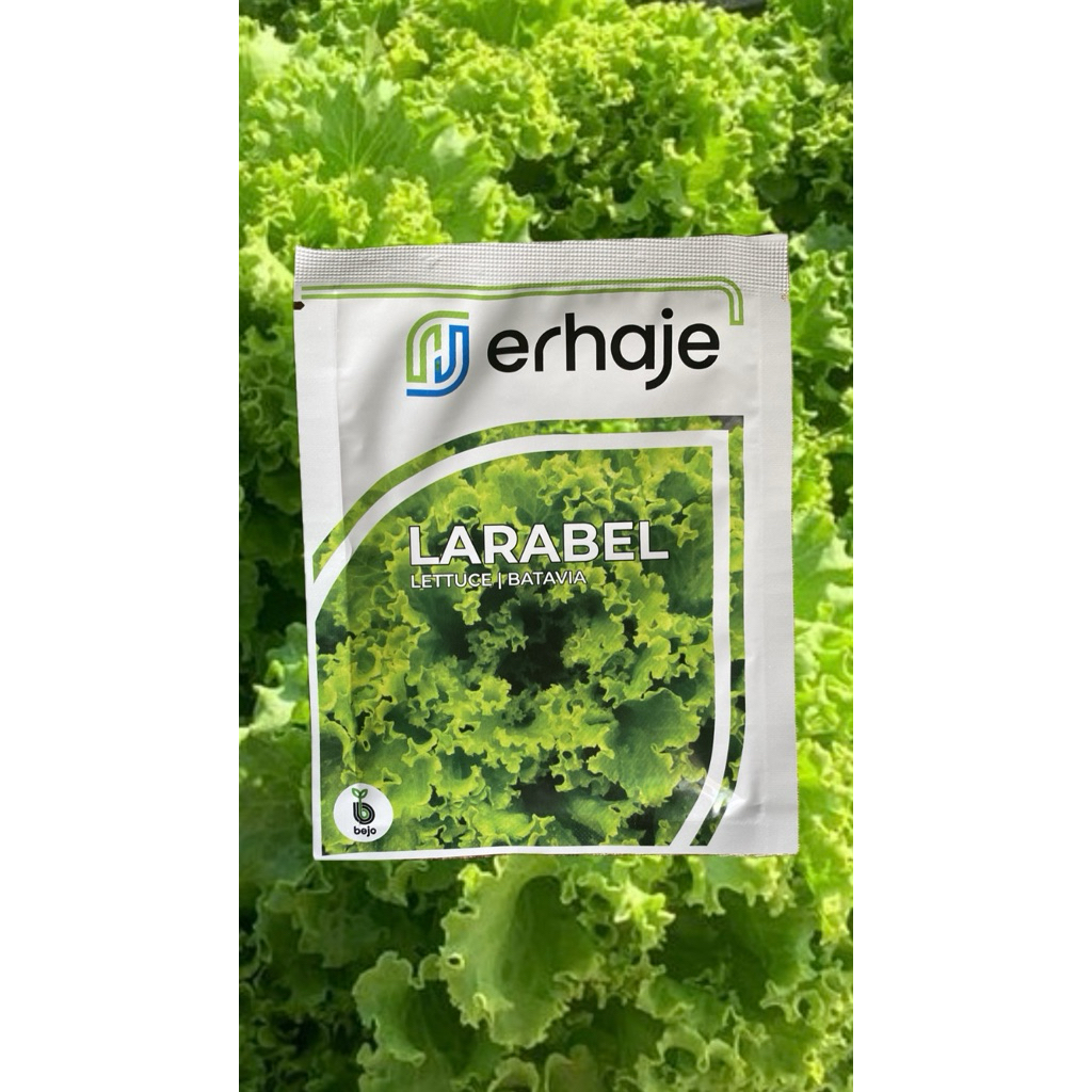 1000 Pills | Benih Bejo Seed | Selada Batavia Larabel