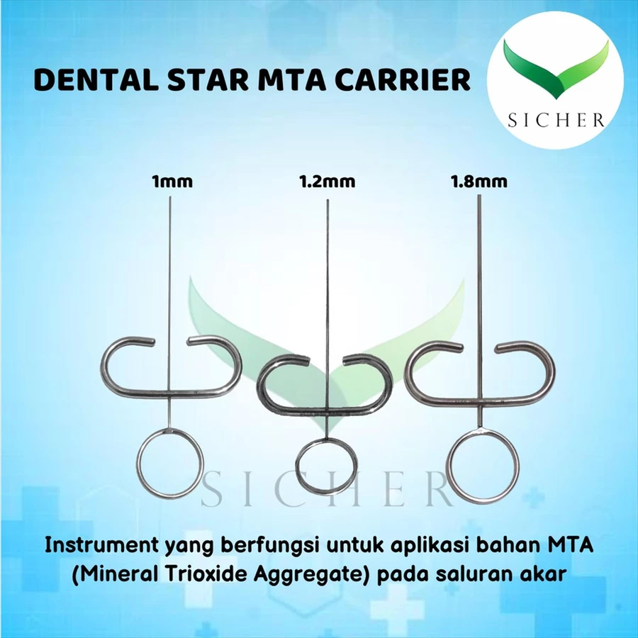 Dental MTA Carrier - Star