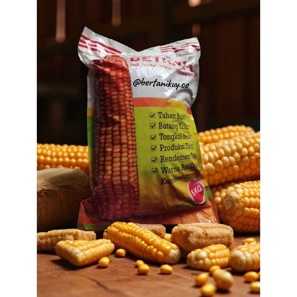 

Benih jagung Betras 1 kemasan 5kg