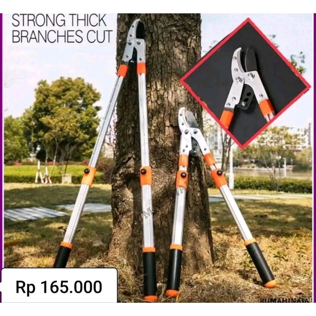 gunting dahan ranting tinggi