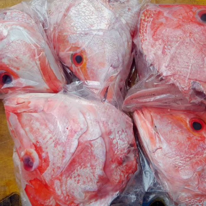 

Kepala Kakap Merah 1Kg Kepala Kakap Merah Segar Seafood Ikan Laut Segar