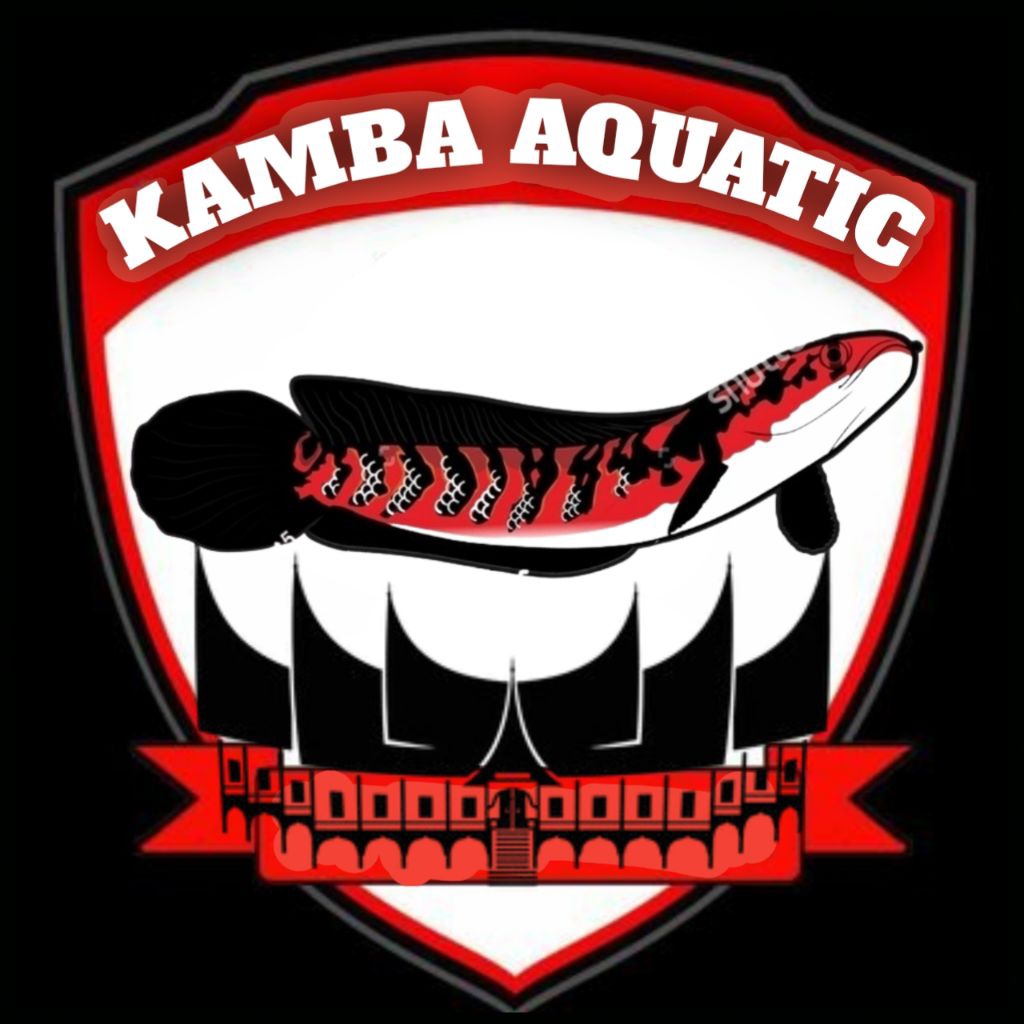 stiker chana RED BARITO