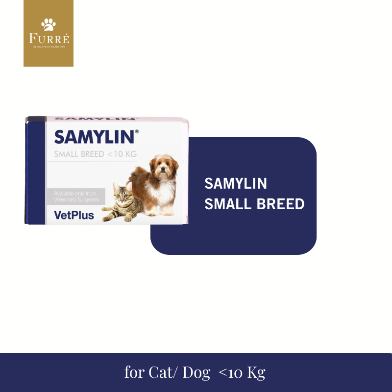 Samylin Small Breed for Dog & Cat - Obat Gangguan Hati (Liver) untuk anjing dan kucing