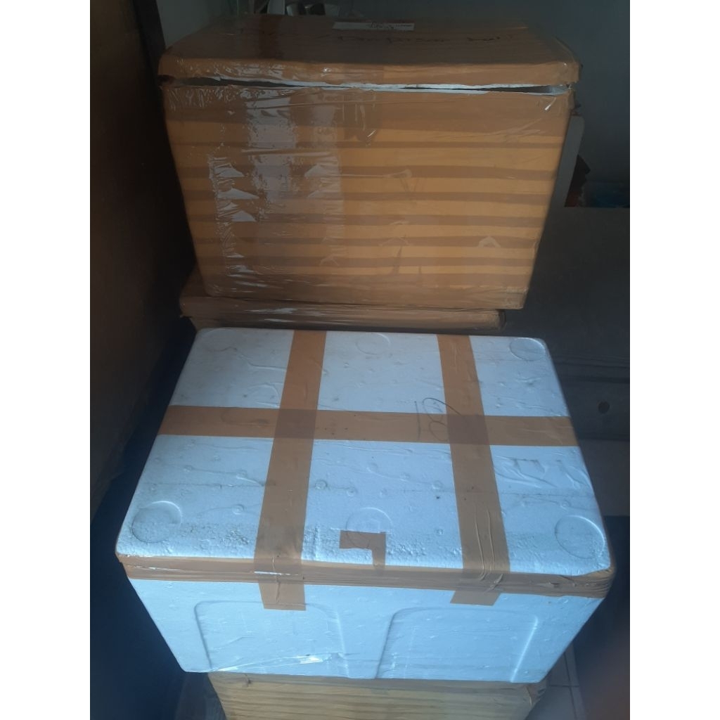 

box styrofoam 50 x 35 x 33