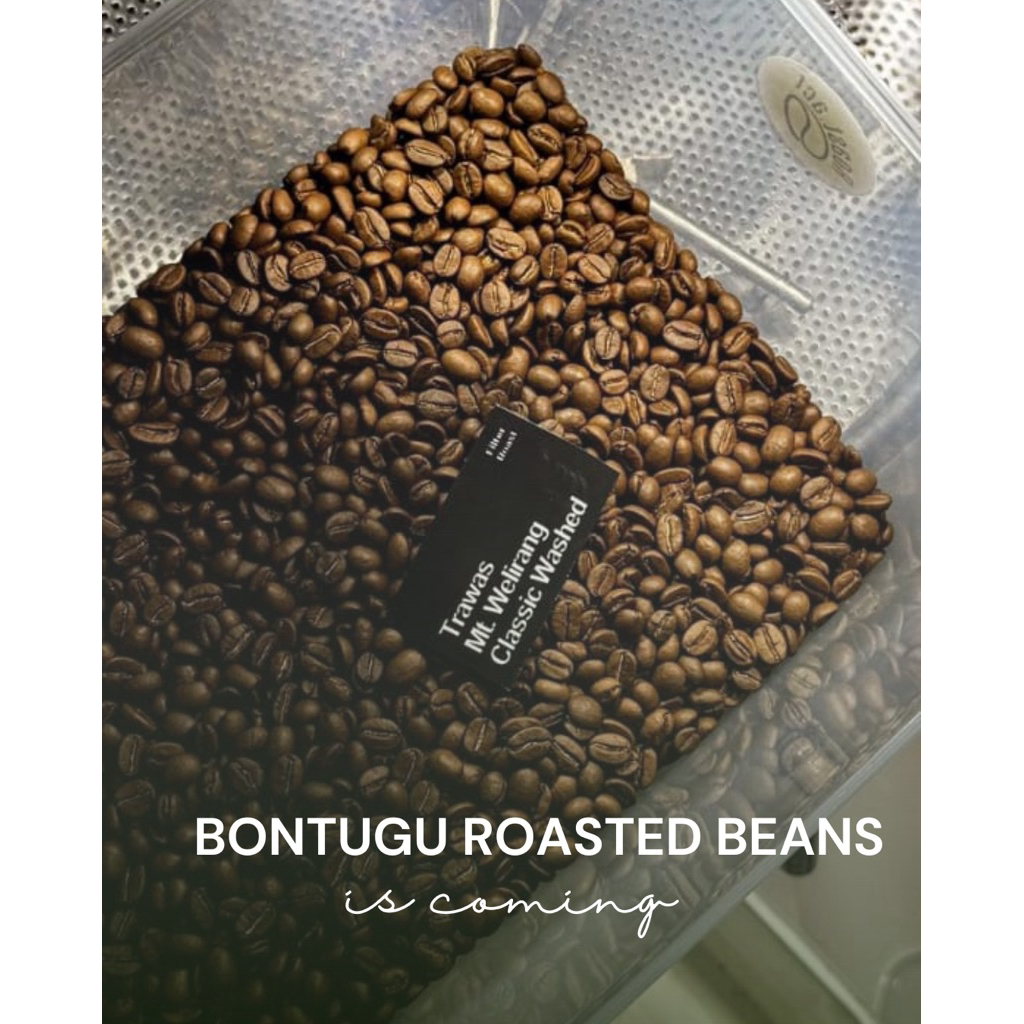 arabika roasted beans bontugu trawas -1kg