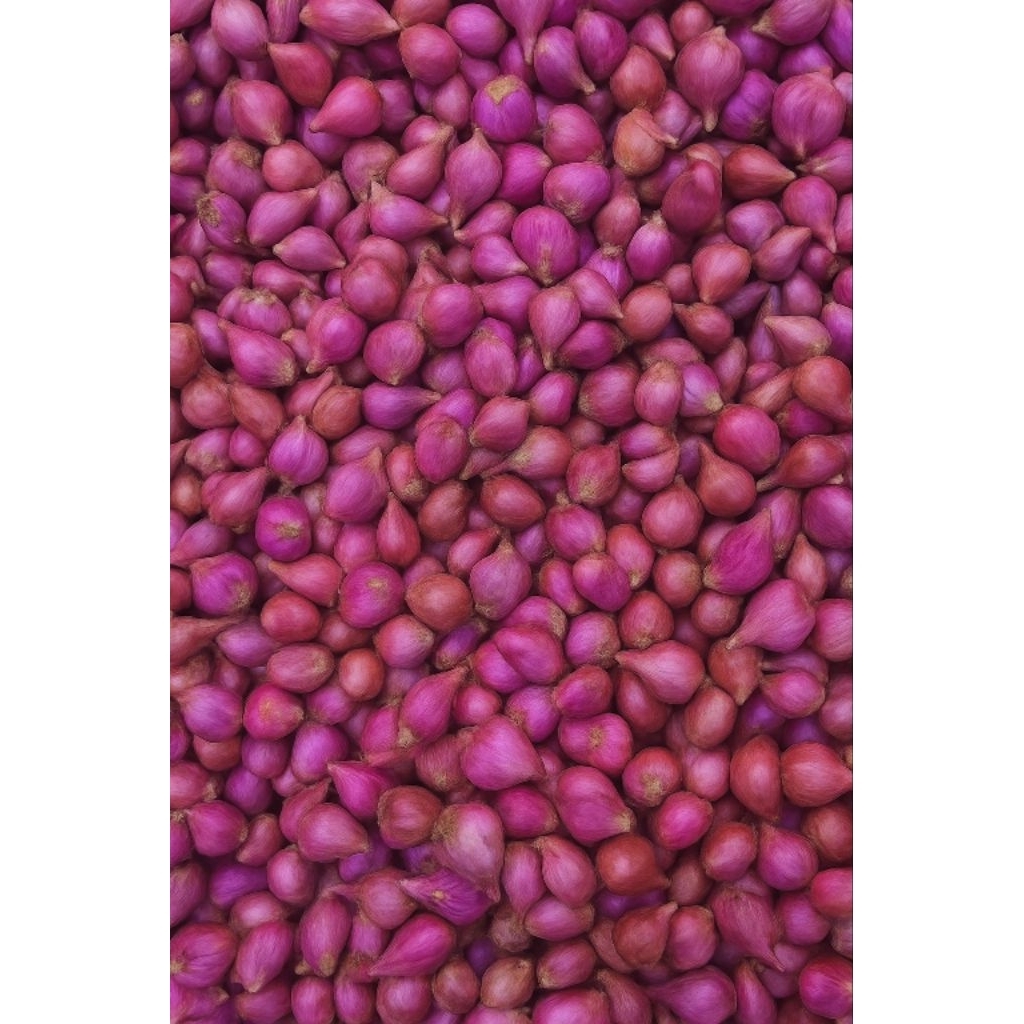 

BAWANG MERAH SEGAR–AROMA HARUM & RASA LEBIH MANTAP/BAWANG MERAH SEGAR KUALITAS PREMIUM – AROMA HARUM & RASA MANTAP