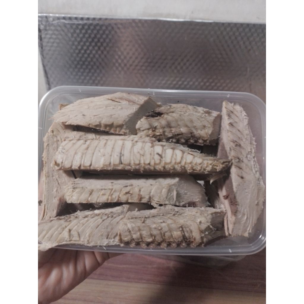 Ikan Tongkol Cue/Tongkol Pindang Fresh